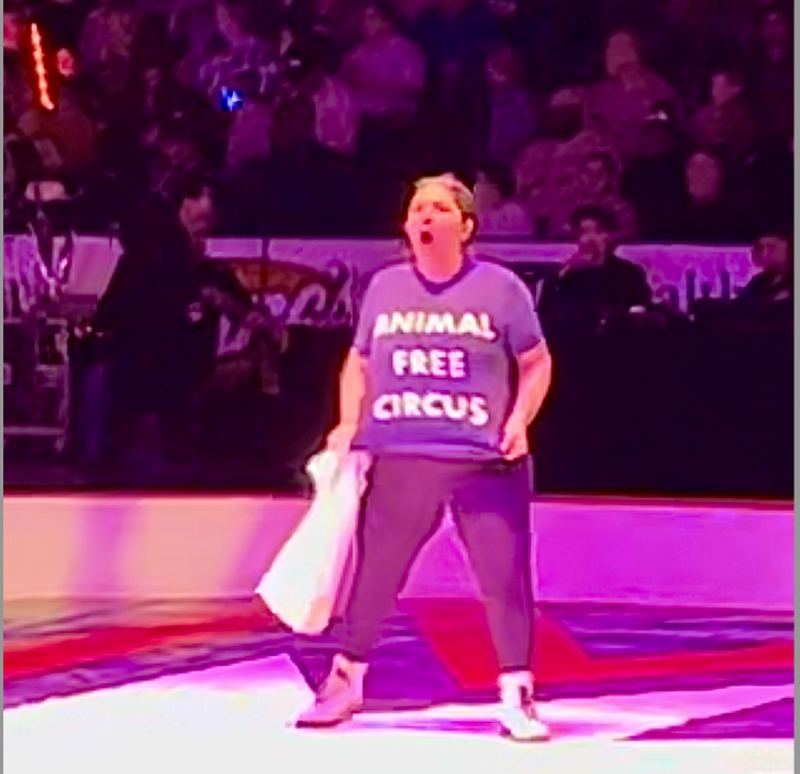 An activist identified as Sydney Sager disrupted the Moolah Shrine Circus in St. Charles on Saturday. - VIA DIRECT ACTION EVERYWHERE