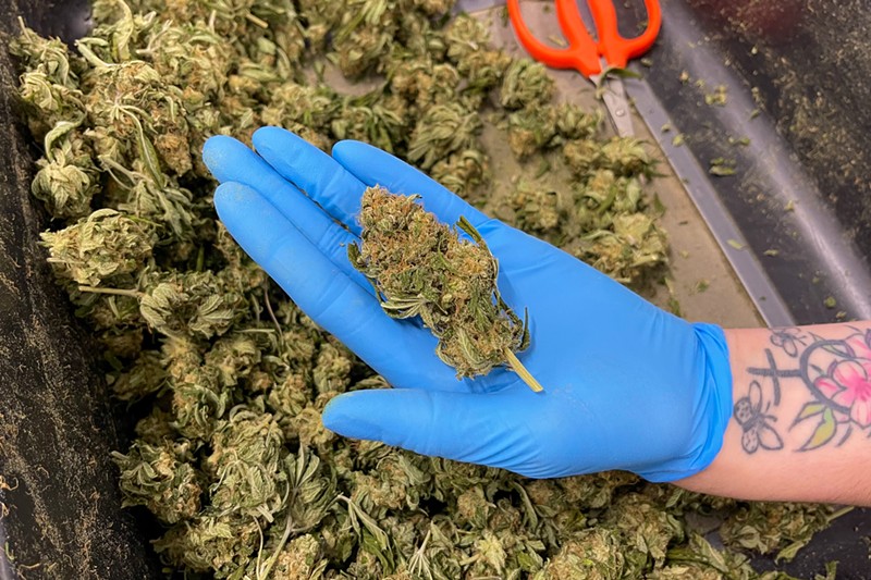 Recreational sales surpassed $256.2 million since dispensaries started selling adult-use cannabis in February. - REBECCA RIVAS/MISSOURI INDEPENDENT