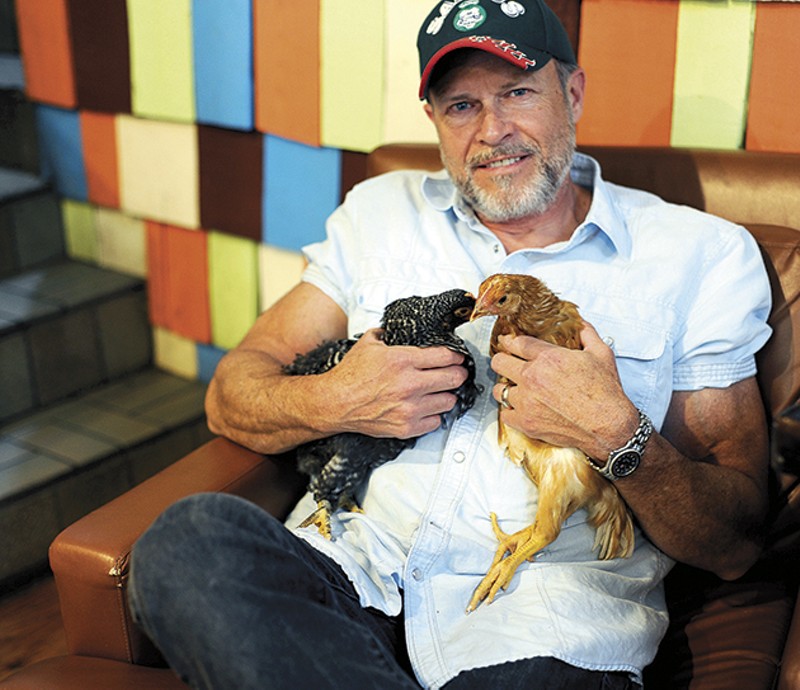 Paul Whitsitt, proprietor of Kitchen House Coffee, holds a pair of young chickens. Both arrived at his cafe last week. - PHOTO BY KELLY GLUECK