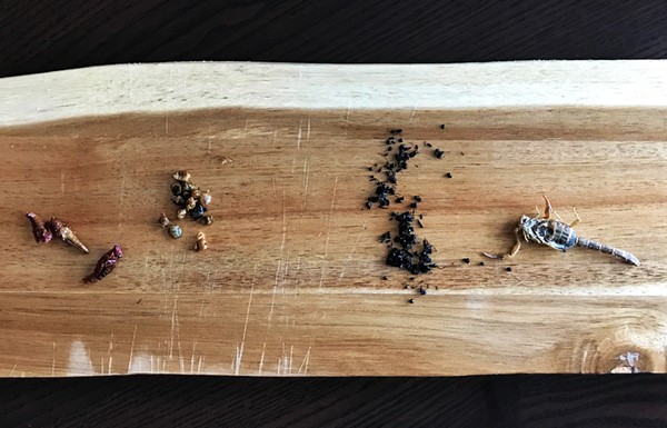 For Dinner: 10 Courses of Edible Insects, From Chef Logan Ely