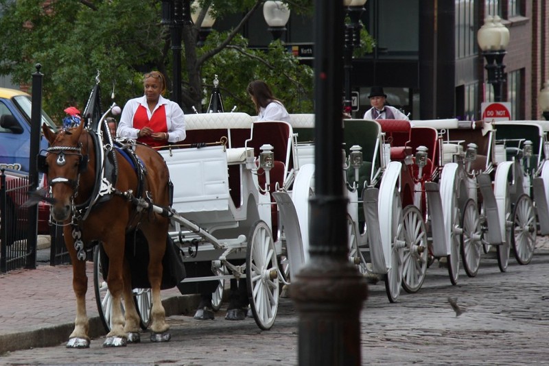 Horse-drawn carriages would be banned under a new proposal from Alderman Joe Vaccaro. - PHOTO COURTESY OF FLICKR/ERIN