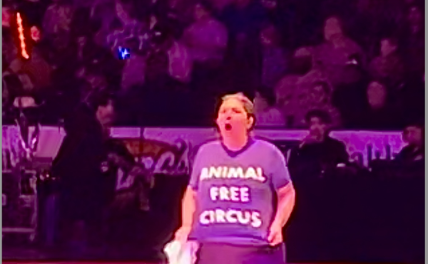 An activist identified as Sydney Sager disrupted the Moolah Shrine Circus in St. Charles on Saturday.