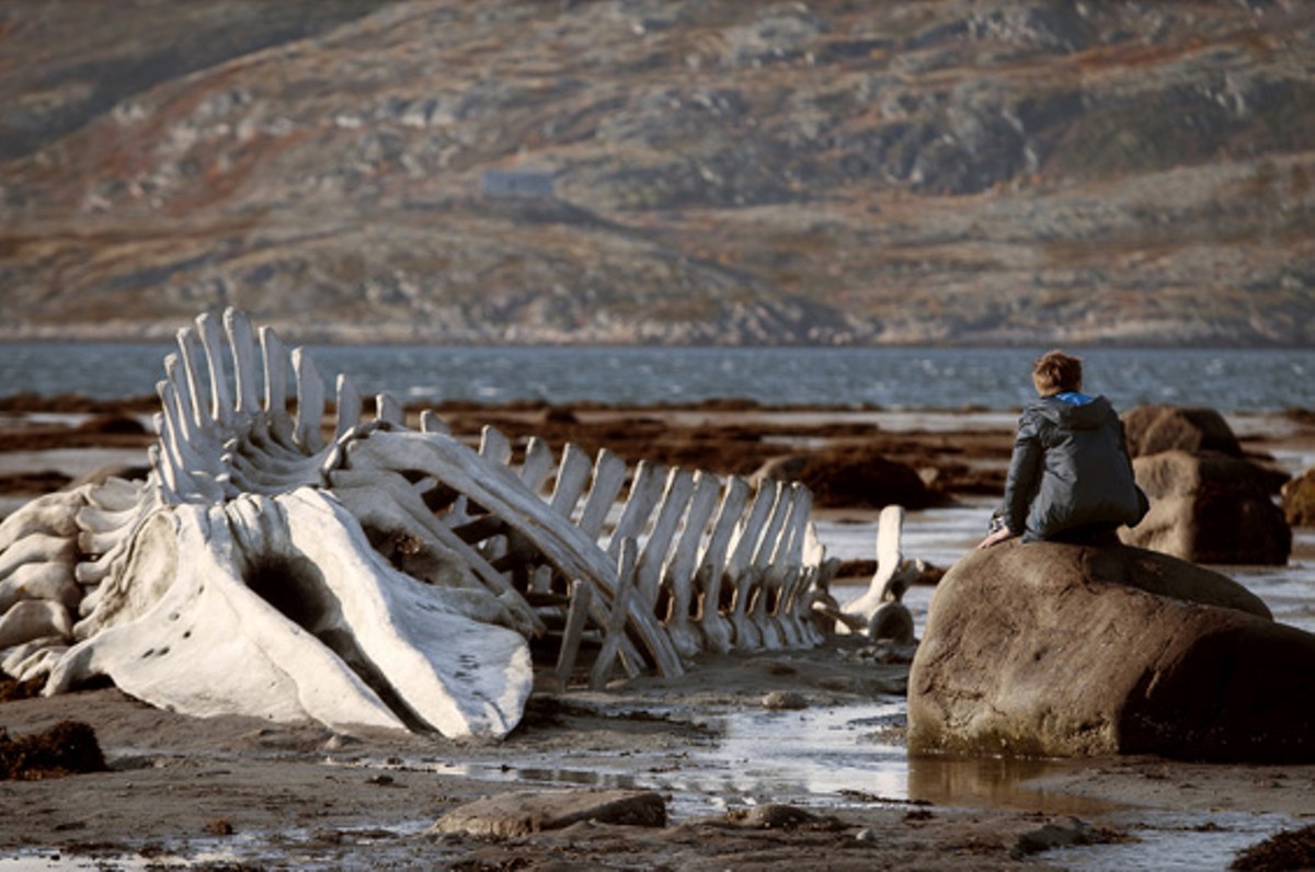 The Rotting Carcass: Russia, a whale and a way of life moulder in Leviathan