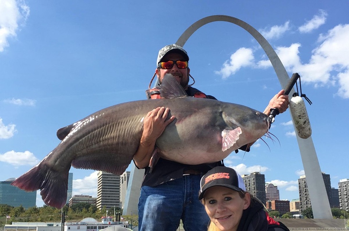 The Mississippi is home to some monster catfish.
