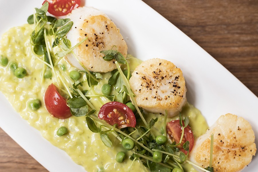 Sea scallops are served with pea risotto, tomatoes, pea shoots, mint and olive oil.