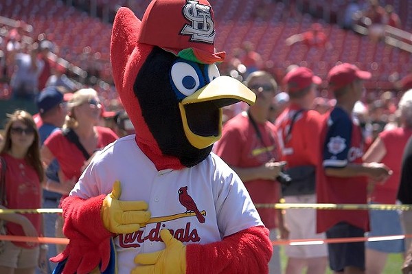 Meet Fredbird the Cardinals Mascot
