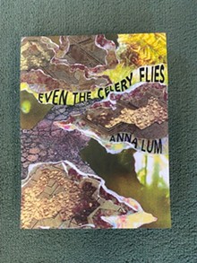 "Even the Celery Flies" (book) - Uploaded by Grafica