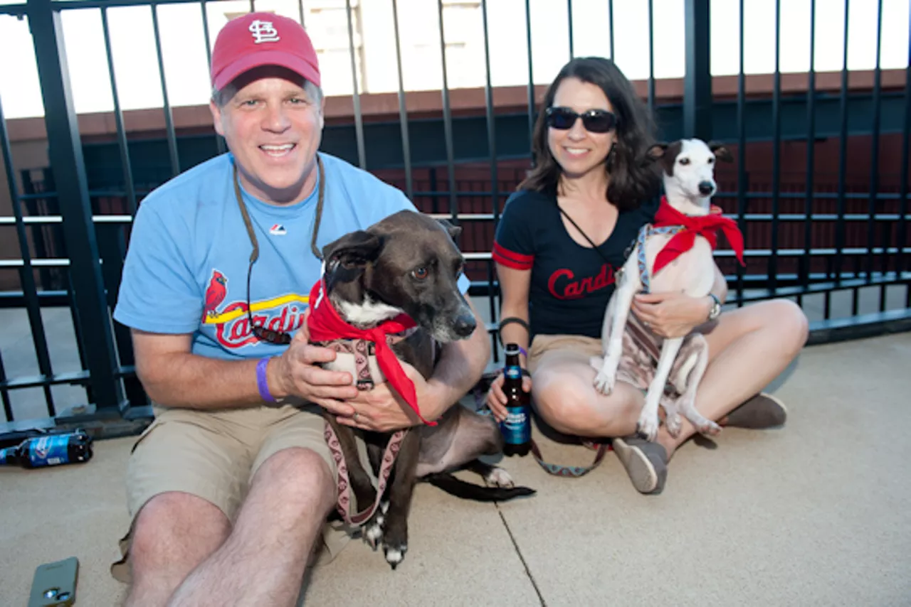 Purina Pooches in the Ballpark returns