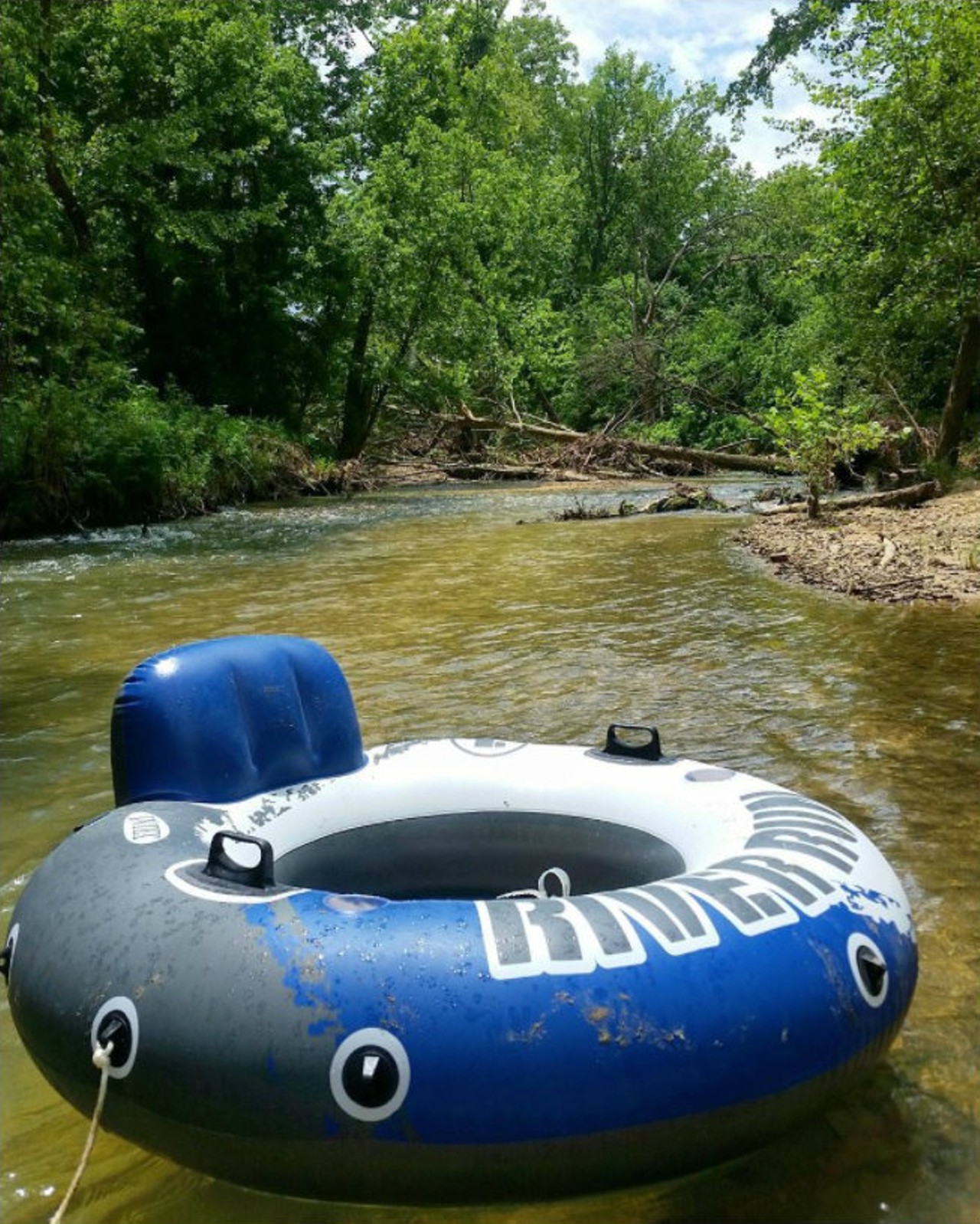 A number of lovely springs feed into Big Piney River, making it a great place to float. Some float trip options include Rich's Last Resort and Wilderness Ridge Resort. Photo courtesy of Instagram / dogwoodchannelcat.