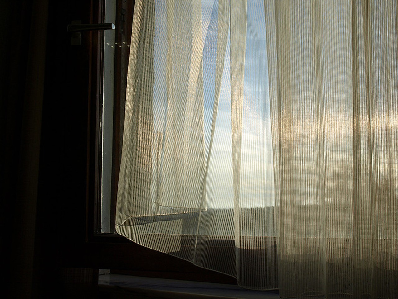 Open your curtains.
UV light kills viruses. The more you natural light you have in your house, the better.
Photo credit: Daniel Stark / Flickr
