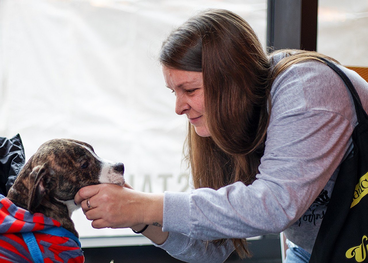 Stephanie Ferguson pets a dog up for adoption at United We Brunch.