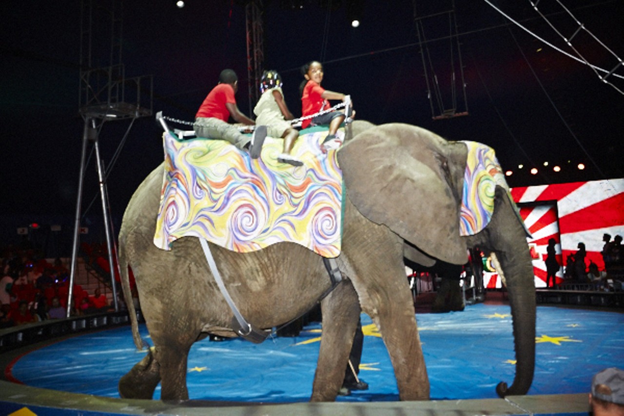 UniverSoul Circus Temporarily Revives Jamestown Mall