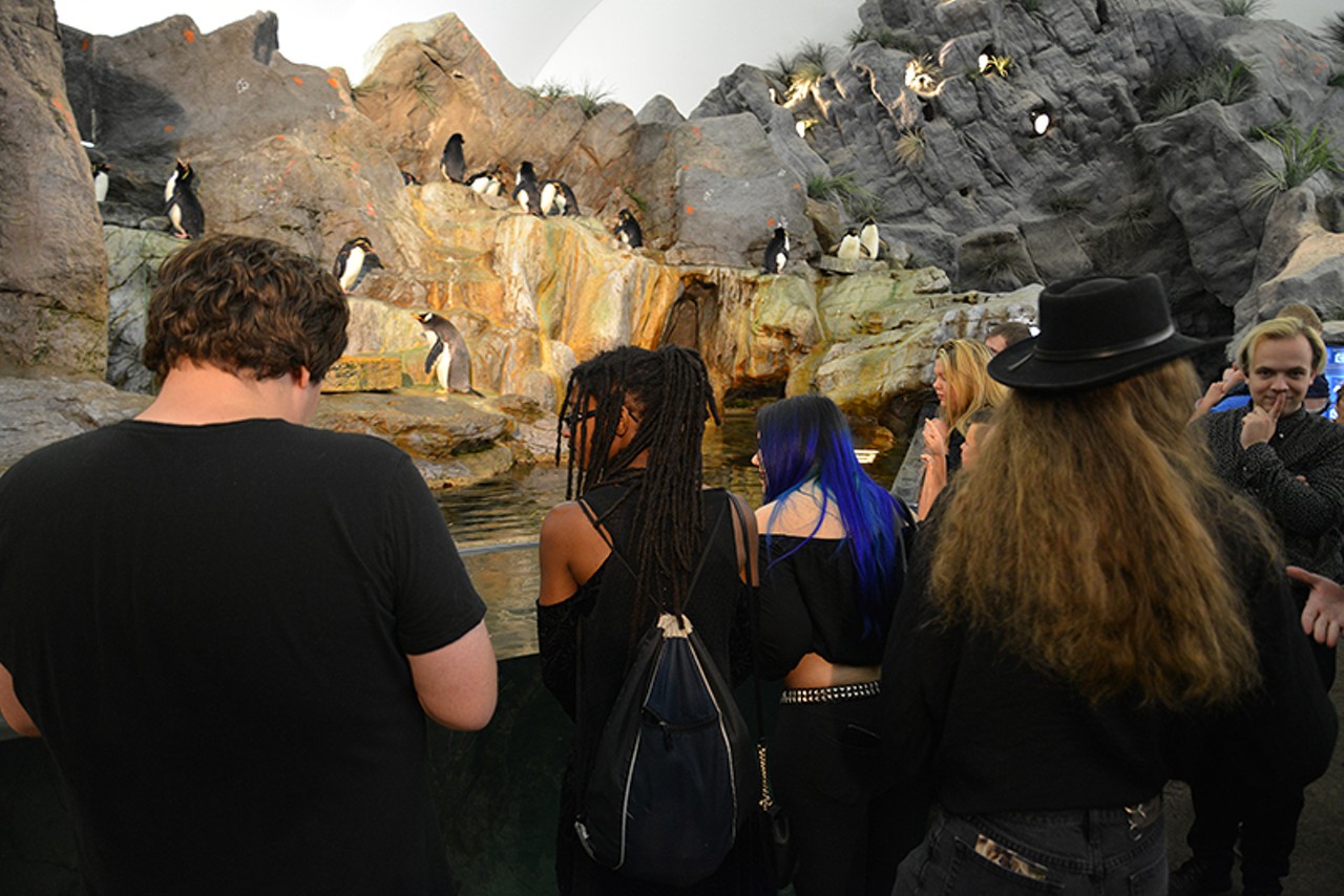 Around 50 goths came out to the St. Louis Zoo for a family friendly gathering on Sunday, Sept. 30, 2018.